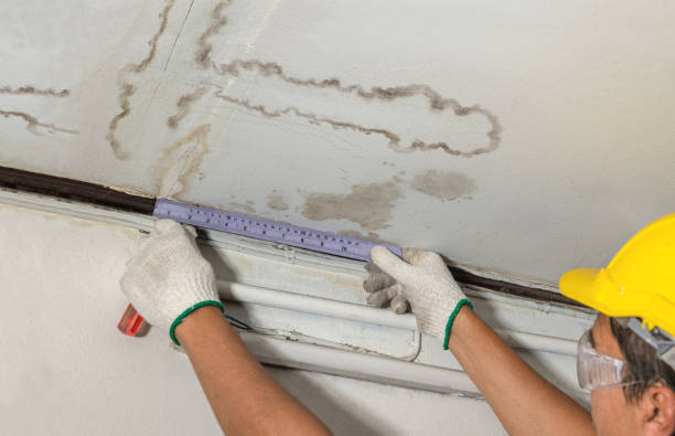 Reliable Burst Pipe Cleanup contractor in Mount Morris, MI by Water Damage Irwin